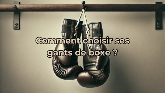 Comment choisir ses gants de boxe ?