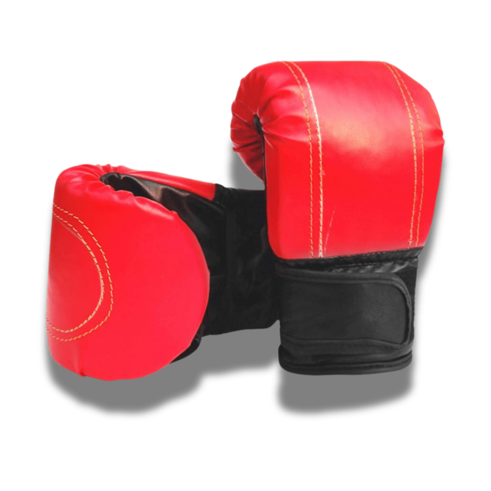 Gants de boxe débutant