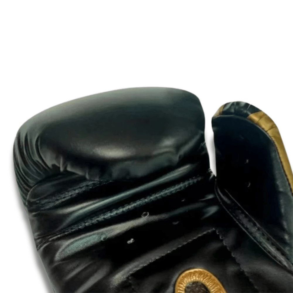 Gants de boxe Vfnom