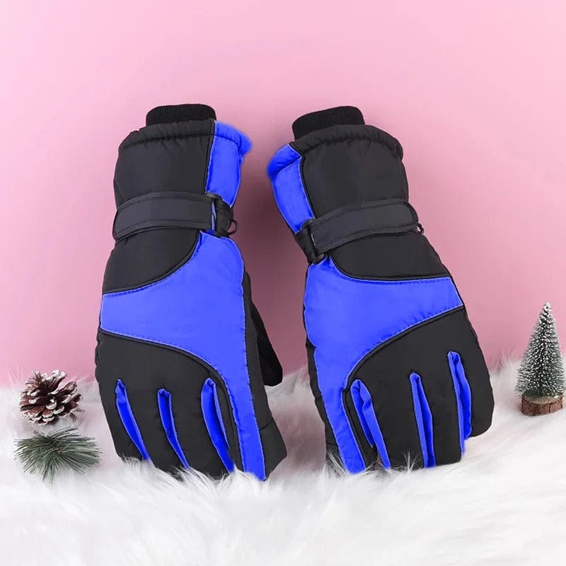 Gants de ski bleu