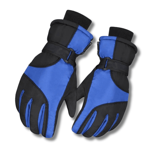 Gants de ski bleu